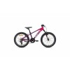 Bicicleta Monty KX5