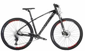 Bicicleta de Montaña